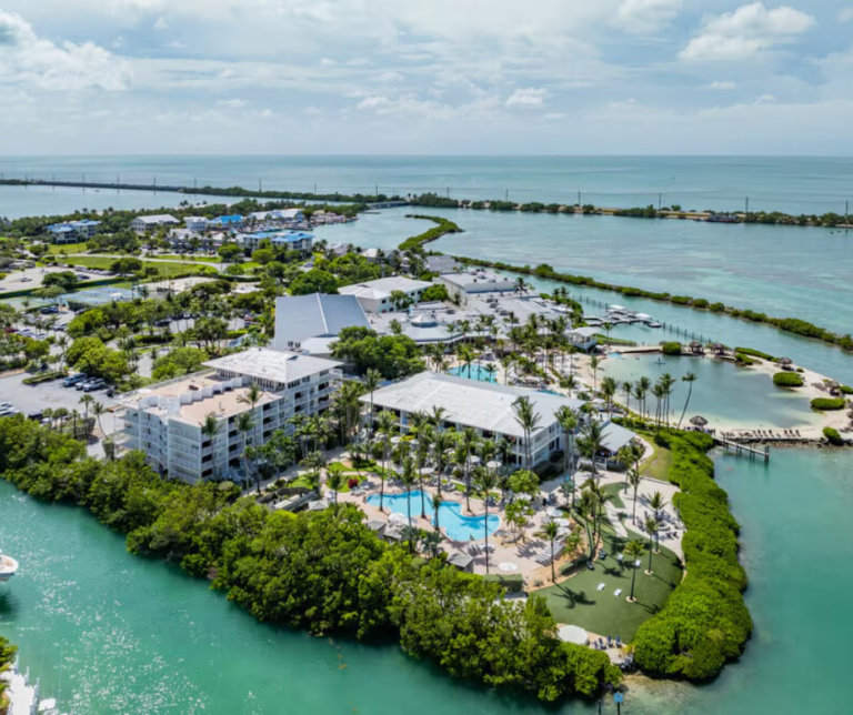 Palm trees along waterfront in Duck Key Florida