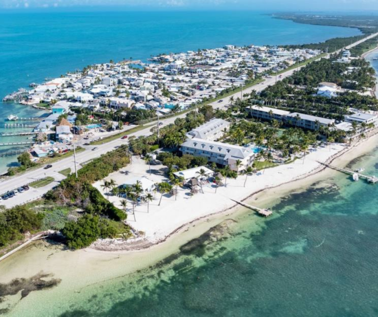 Tropical shoreline with clear water in Layton Florida