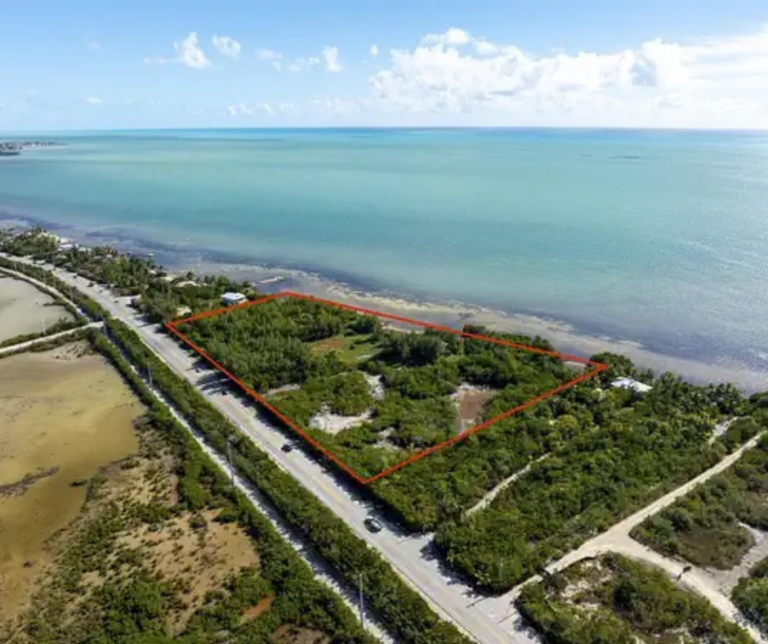 Palm-lined street in Marathon Florida with sunny weather and light traffic