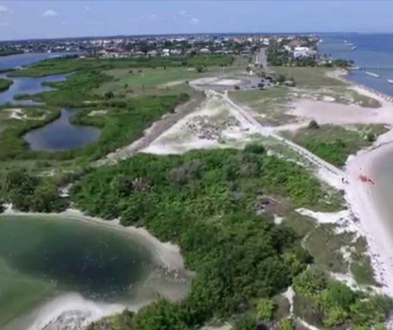 Tampa Bay shoreline near Apollo Beach on a sunny day