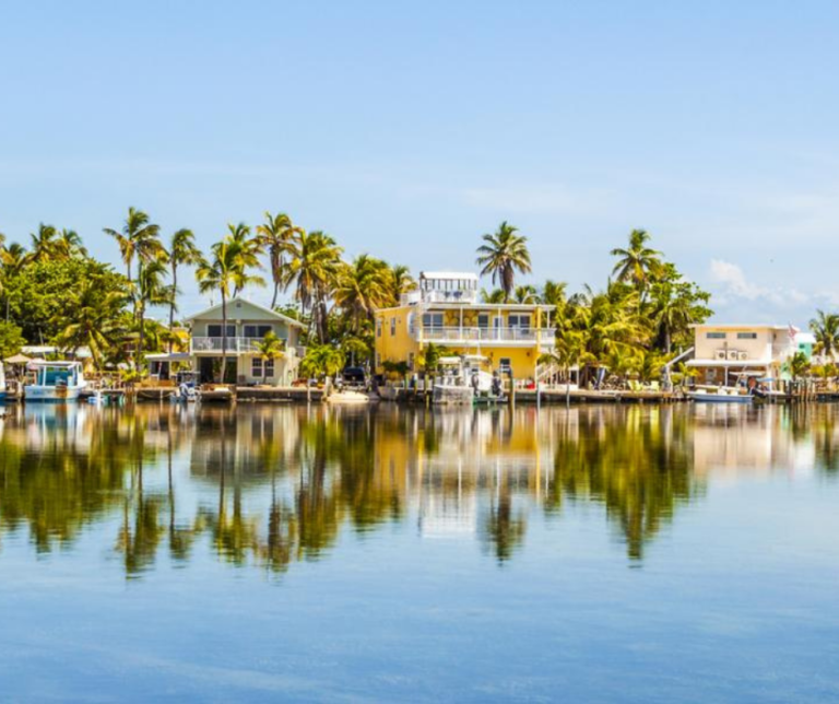 Palm trees and waterfront scenery in Cudjoe Key Florida