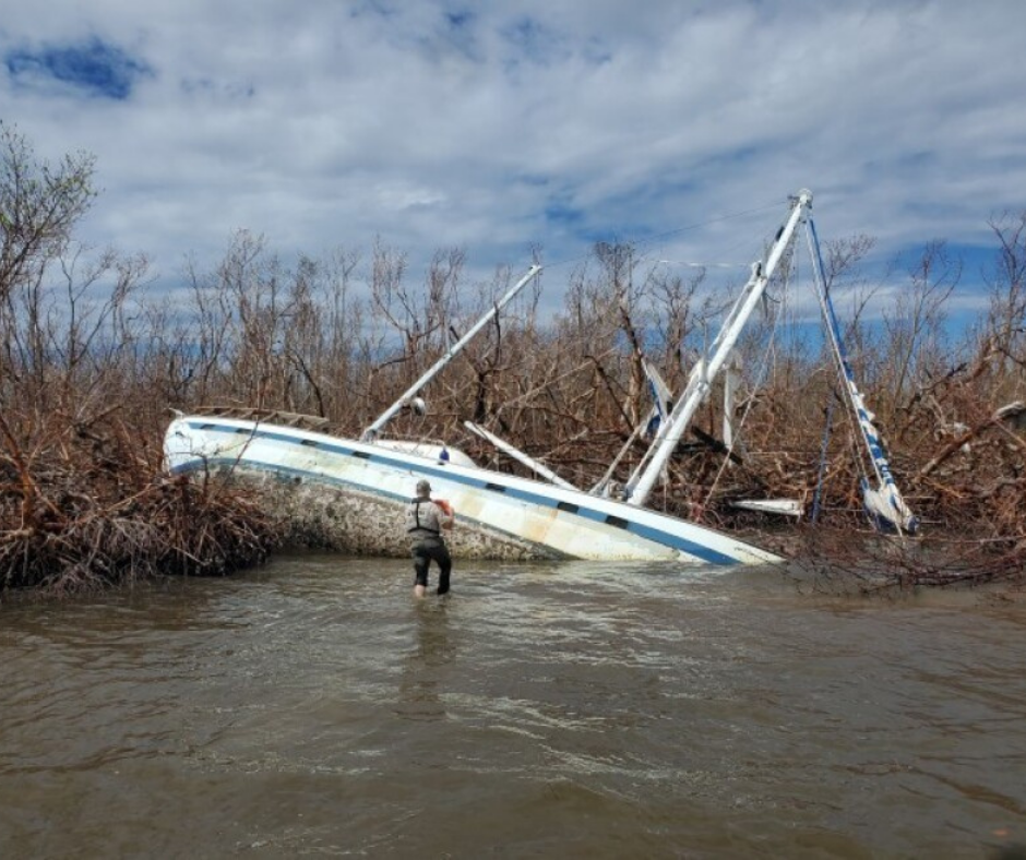 Sunken boat partially submerged in water near the Alafia River in Gibsonton.