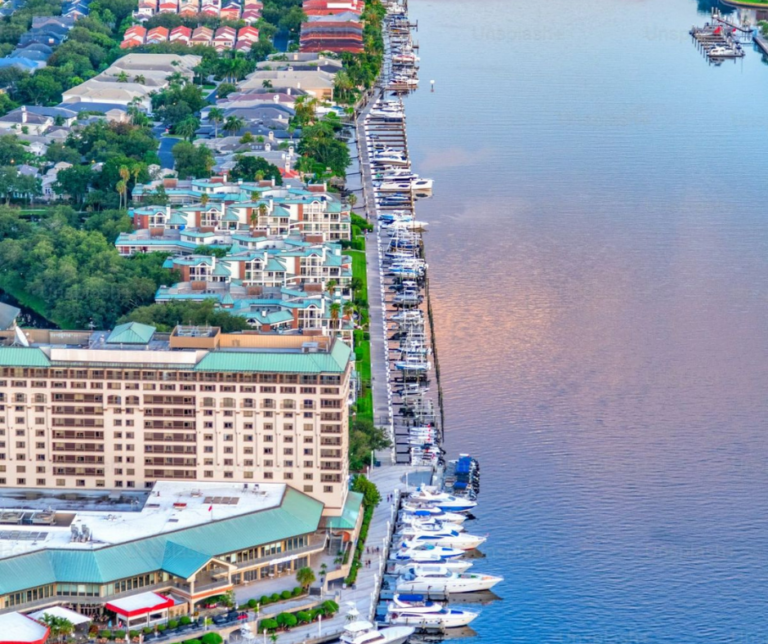 Boats docked at a marina in Tampa Bay